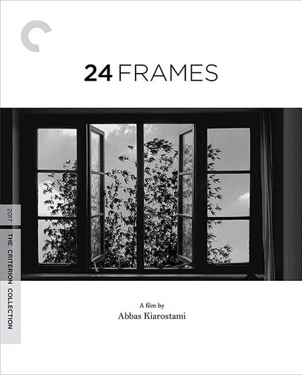 Blu-ray Review: 24 FRAMES Mischievously, Compellingly Lulls to the End of Abbas Kiarostami's Life, Career